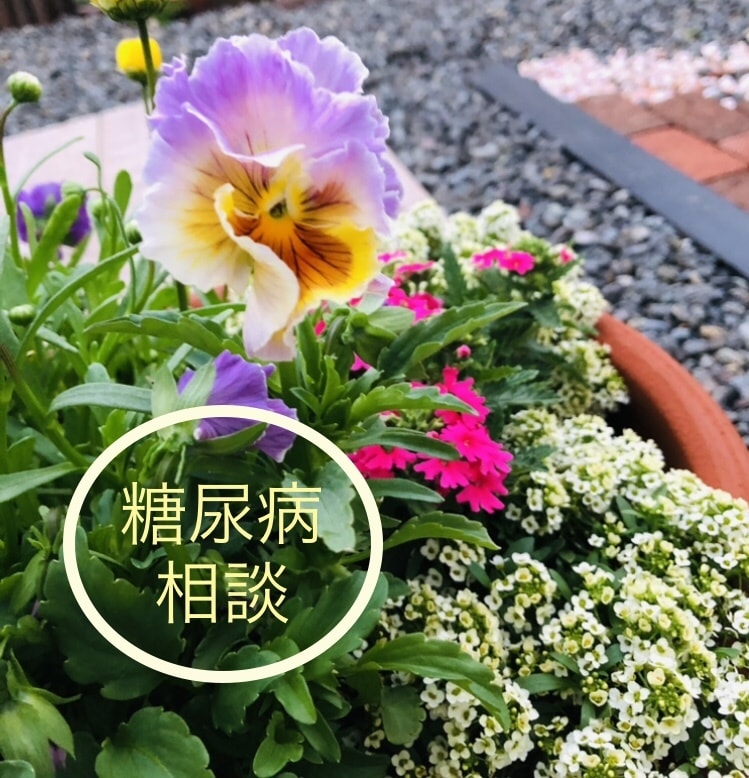 糖尿病療養指導のプロです。ご相談に応じます AIではできないあなたに合う管理方法を一緒に考えます。 イメージ1