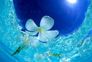 愚痴を聞きます どんな愚痴でも聞きます！吐き出しましょう☆ イメージ1