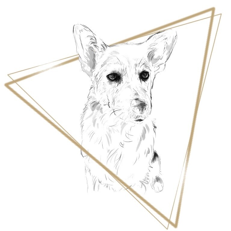 あなたの大切なペットや動物をイラスト化します 大切なペットや動物をイラスト化したい方へ イメージ7