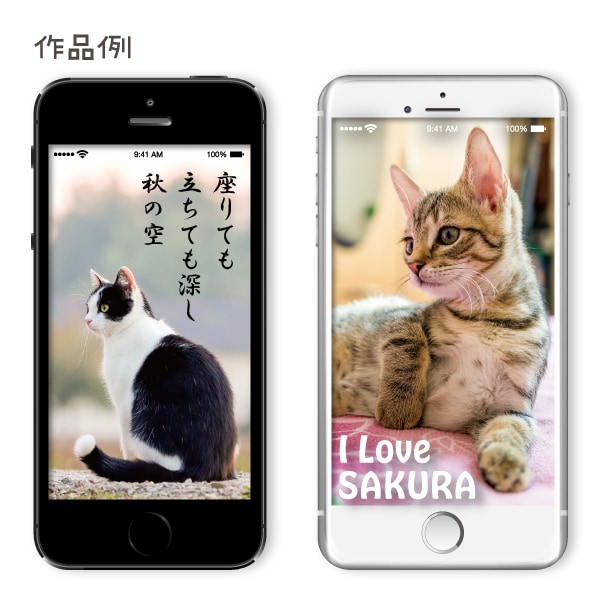 あなただけのオリジナル壁紙作ります 画像を綺麗に補正、文字入れしてスマホ等の壁紙をお作りします！ イメージ5
