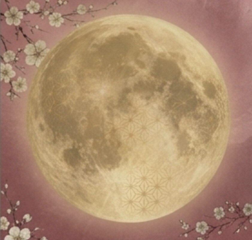 眠れない恋の不安を月灯りの霊視で浄化します 彼と繋がる運命があるのか鑑定します イメージ3