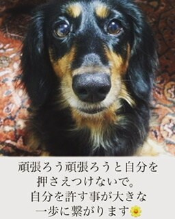 心に寄り添い話を聞きます あなたの閉ざしている気持ちを私に話してみませんか？ イメージ2