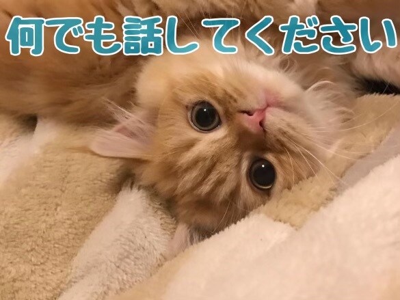 誰かに相談したいすぐに話したい短い時間から話せます あなたの手を暗闇から引っ張ります。 イメージ1