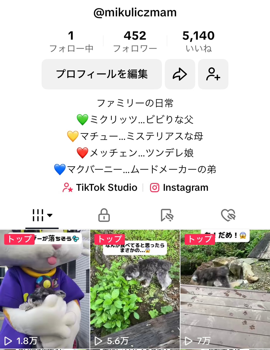 企業実績多数のプロがTikTokの運用代行をします 集客・採用・売上向上をTikTok運用でご支援いたします イメージ5
