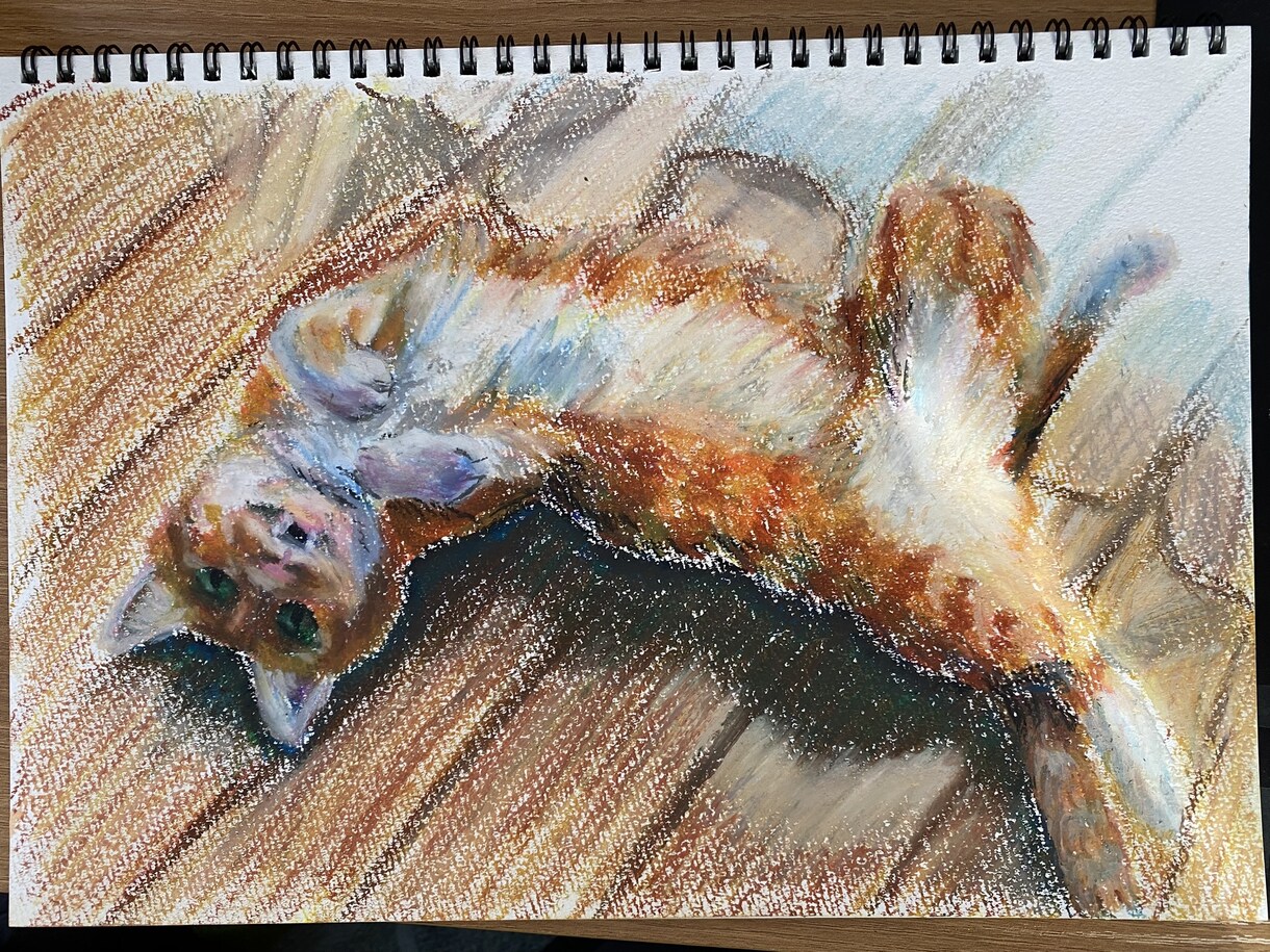 ペット似顔絵　鉛筆やクレヨンで描きます そばにいる、あたたかさをお届けします イメージ4