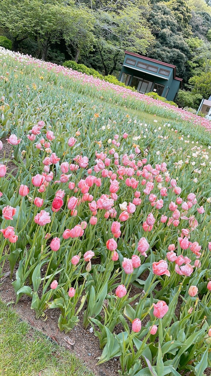 恋愛、その他相談のります お話聞かせてください！力にならせてください！ イメージ1