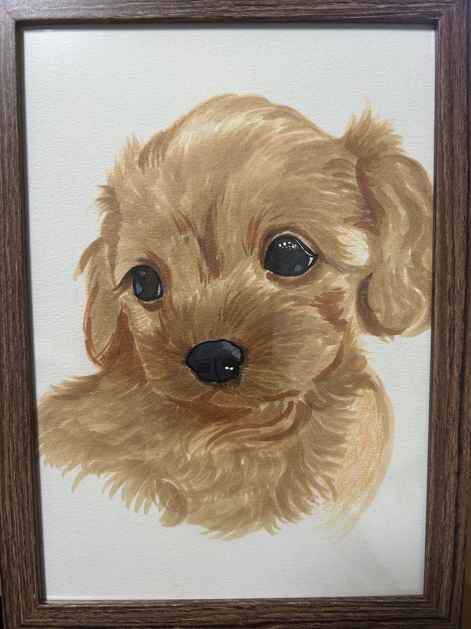 お写真からペットの似顔絵を描きます アナログで温かさを大切に描きます。 イメージ4