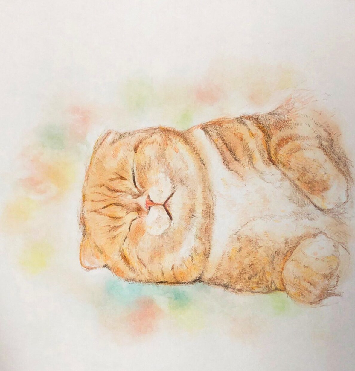 あなたの大切な愛猫の似顔絵描きます 柔らかい雰囲気でリアルな似顔絵描きます イメージ2