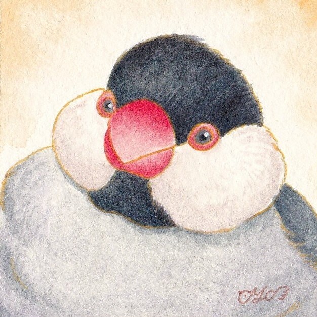 可愛いインコちゃんの似顔絵をお描きします リアルからデフォルメまで多様なイラストをお届けします イメージ5