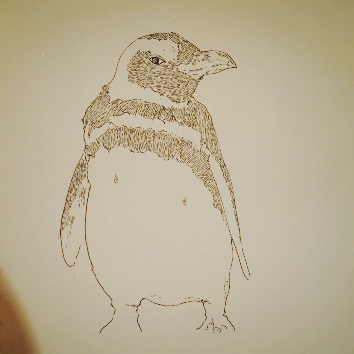 動物、ペットのゆるい線画2枚まで描きます お試し出品のため低単価です。ご要望などは遠慮なく！ イメージ1