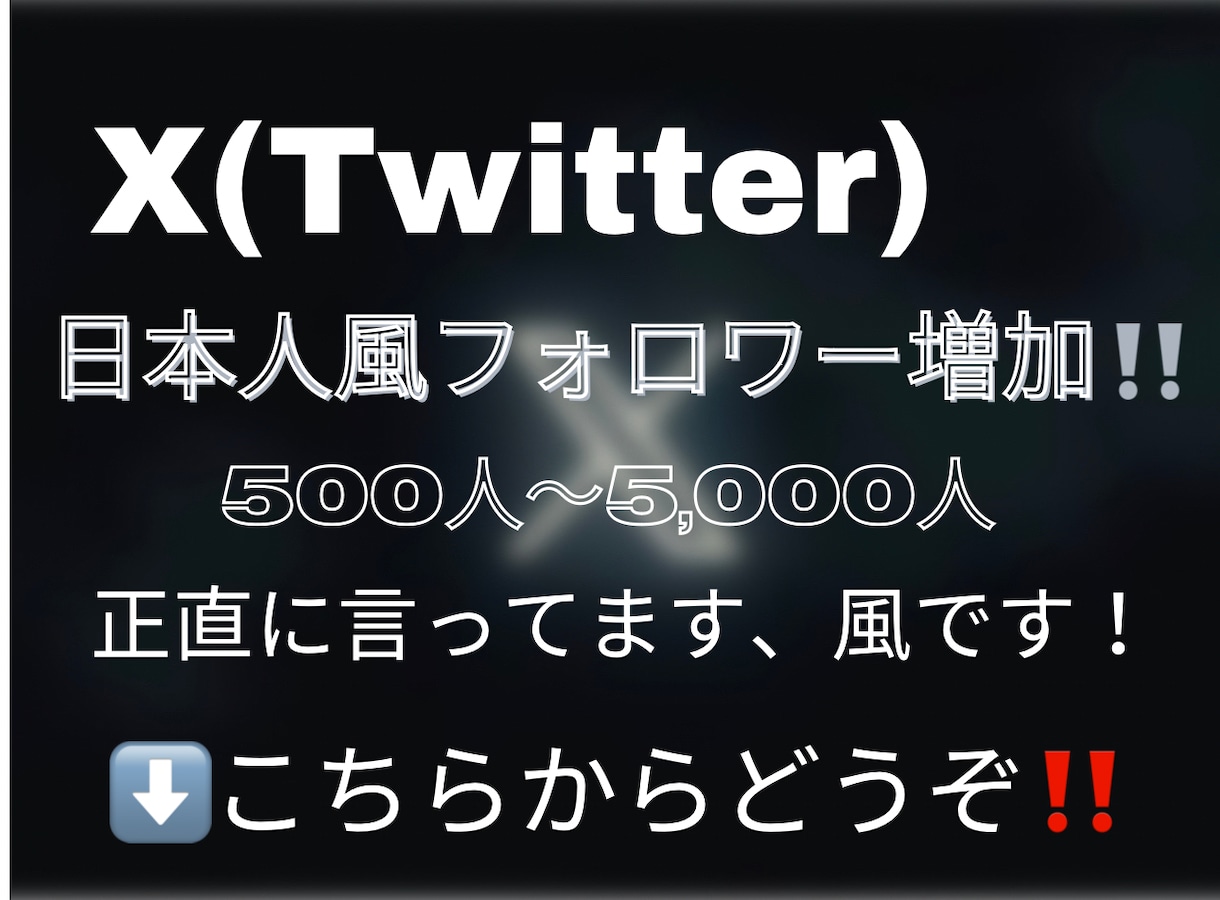 X 日本人風フォロワーを500人〜増加させます X/Twitter/5000人まで/15日間補填保証 イメージ1