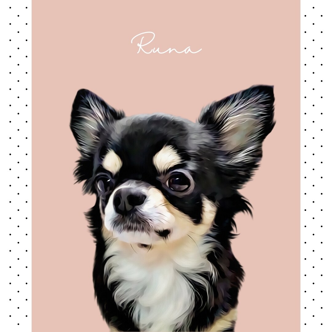 ペットのおしゃれな似顔絵を作成します 犬、猫、うさぎ、小動物、爬虫類皆様大歓迎＊ イメージ5