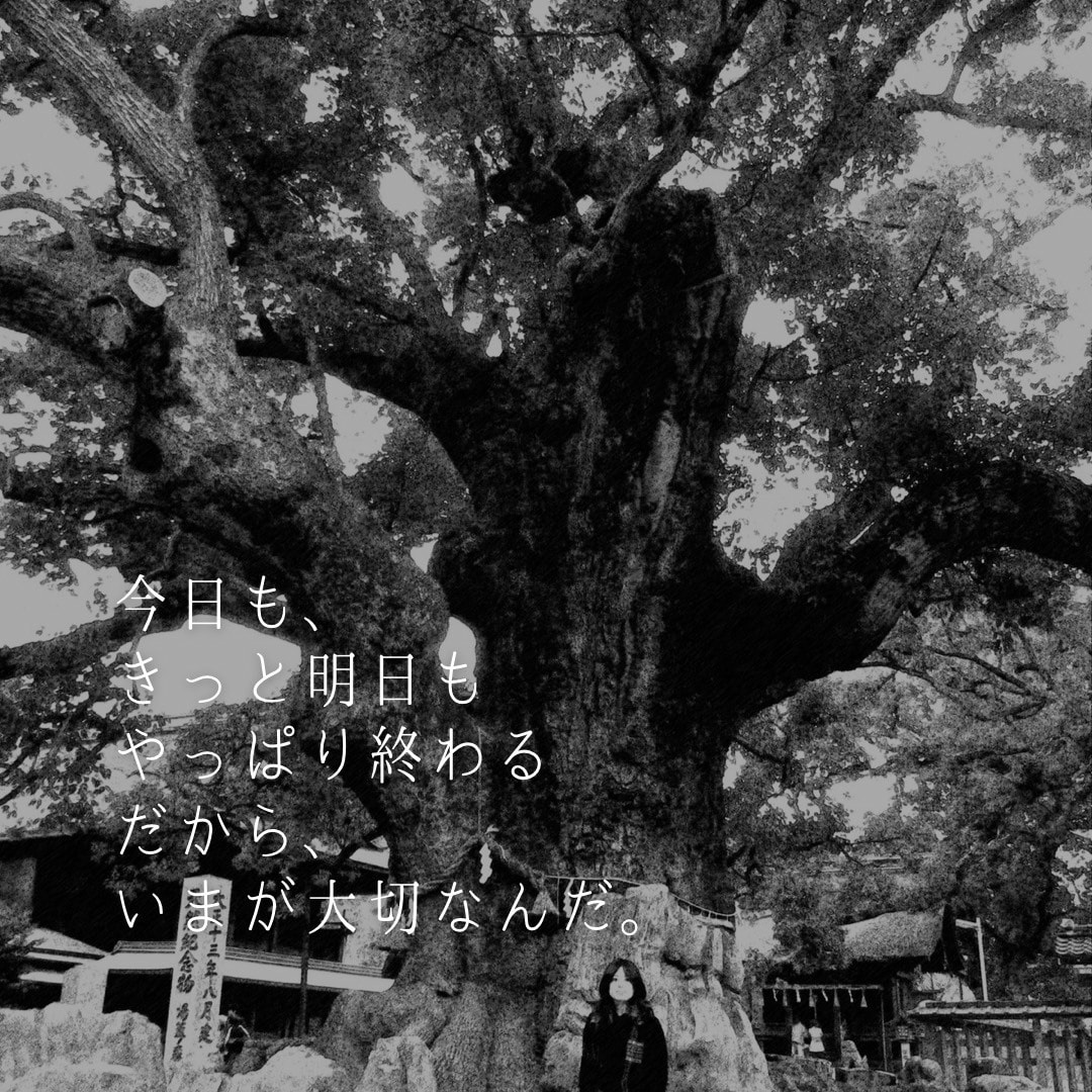 読み手の気持ちに寄り添う心に残る文章をお書きします ビジネス文書も恋文に。演出家が、惹きつける文章にいたします イメージ1