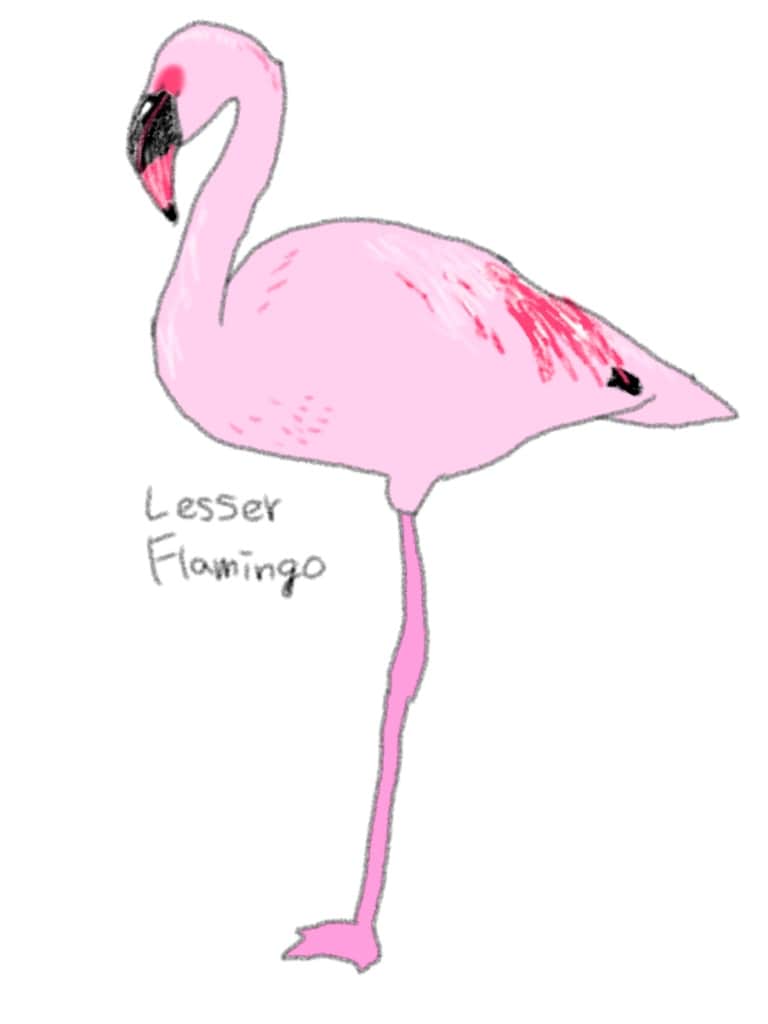 優しいふんわりとしたイラスト描きます 色・動物など内容に合わせ世界を創ります イメージ3