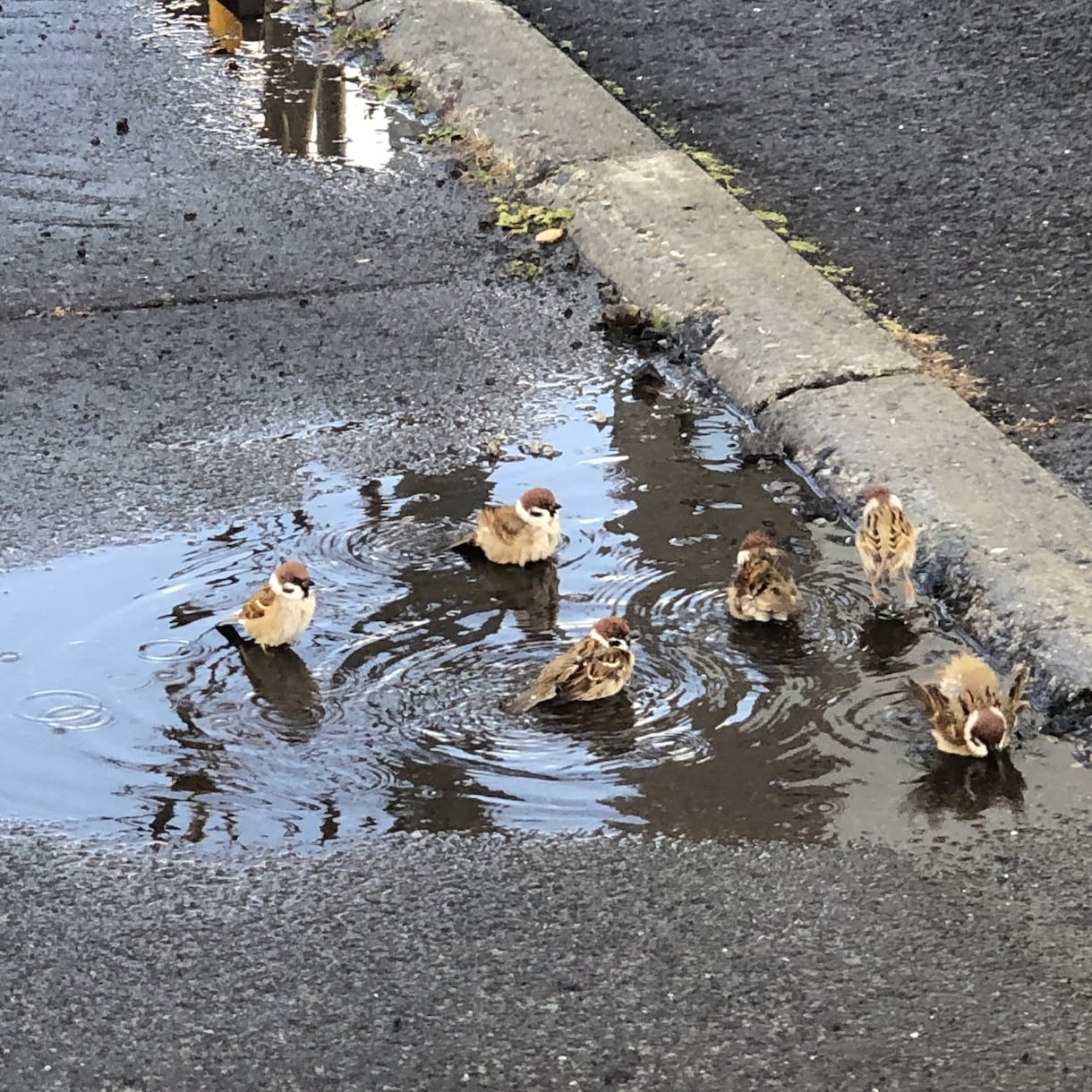 チャットで3日間☆元気を一緒に探します ☺︎︎あなたの心の荷物、ここに少しおろしていきませんか？ イメージ4