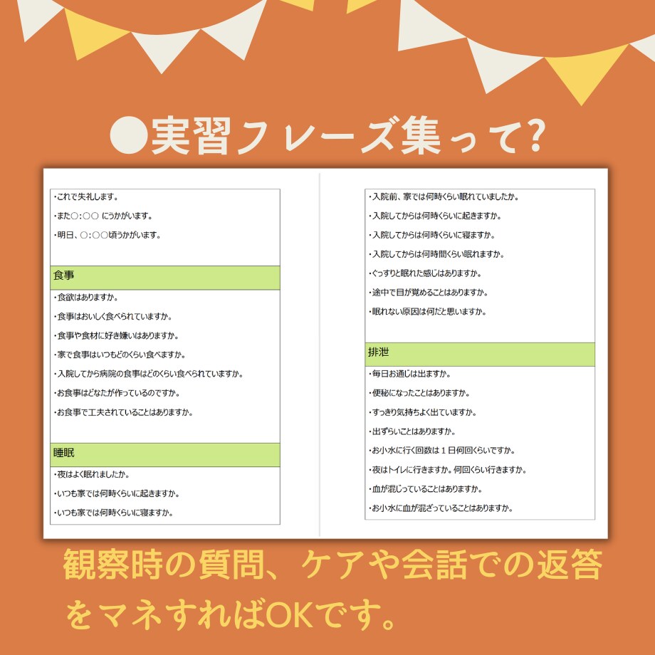 報告・発表の方法、指導者さんとの話し方など教えます ★カンファのカンペ★テーマ★様々な場面での返答★基礎実習メモ イメージ7