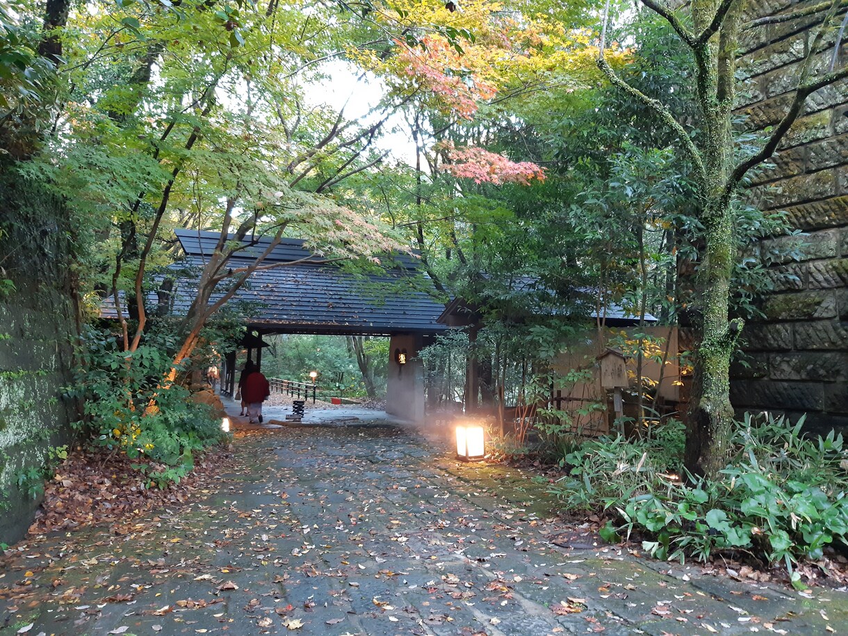 一緒に共感いたします 旅行へ行けない今行きたい場所や国のお話をしませんか ？ イメージ1