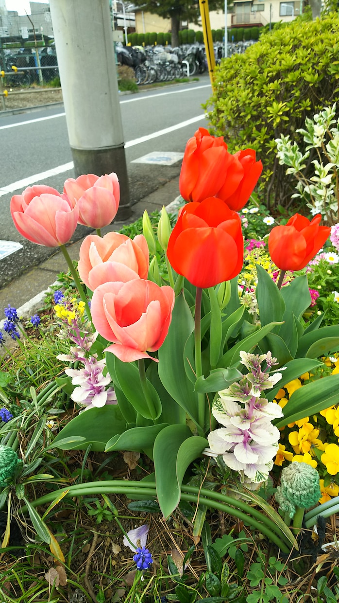 ワンコインで簡易的なタロット占いをします 気分転換や悩んだ時の道しるべに。迷ったら占ってみませんか？ イメージ1