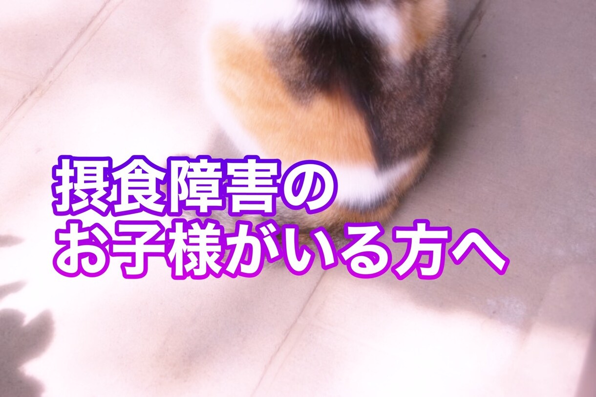 摂食障害のお子様への正しい対応共有します 摂食経験有りのカウンセラーがアドバイス イメージ1