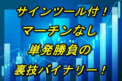 マーチンなしの単発のみ！裏技バイナリー教えます サインツール付