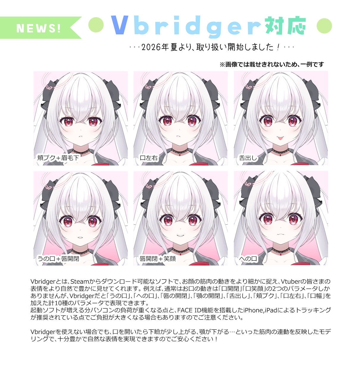 表情が自然！企業経験◎Vtuber全工程制作します 瞳、髪の毛が得意★初心者さんも専業Ｖさんもお任せください！ イメージ4