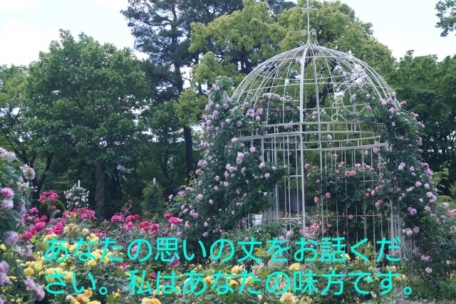 秘密厳守であなたの話を聞いて癒やします あなたの思いの丈を話してください イメージ1