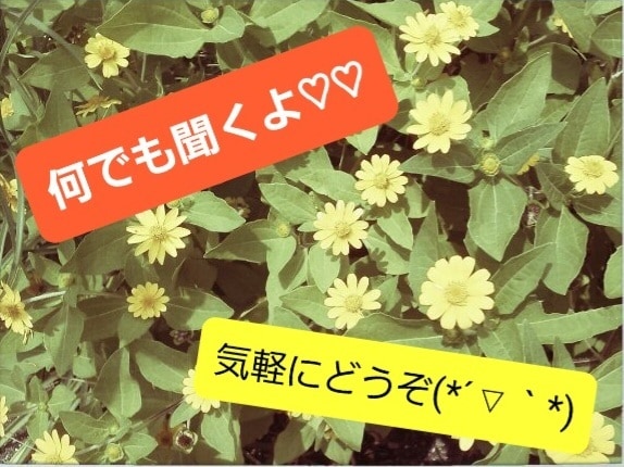 貴方の新しいお友達になります ✨自分の事を知らない人だからこそ、話せる事ってありますよね✨ イメージ1