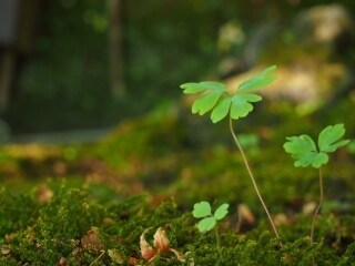 恋愛相談！24時間メッセージ受けつけます メッセージにて詳しく恋愛相談されたい方へ！アドバイスします♡ イメージ4