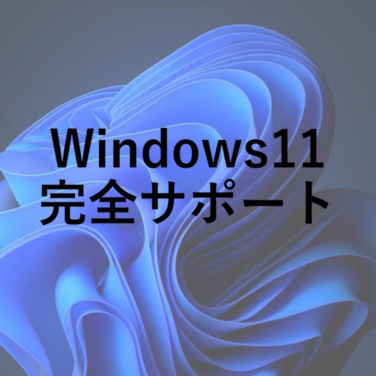 Windows11を完全にサポートします 初めてのパソコンの方などにおすすめです！ イメージ1