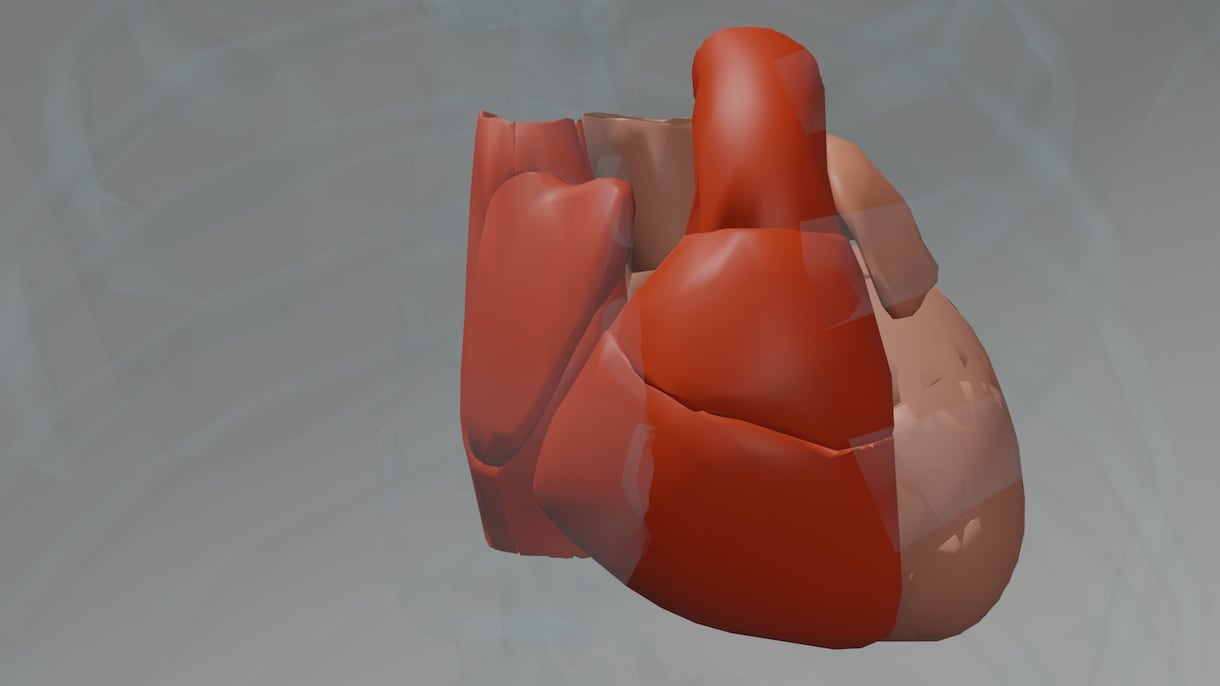 医療系の3D動画を作成します 分かりやすく高級感のある動画を作成します イメージ3