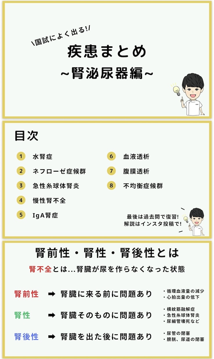 看護師国家試験 | 頻出疾患を徹底理解できます \効率よく勉強したいあなたへ/頻出疾患の要点をまとめた資料！ イメージ8