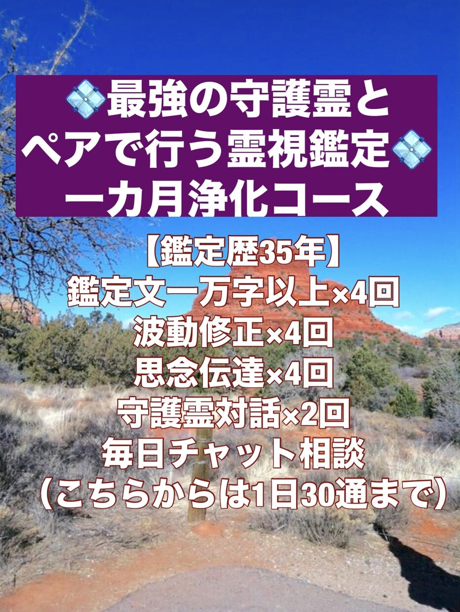 一カ月かけて祈祷を捧げ魂を浄化いたします 【鑑定歴35年】一カ月付きっきりのコースとなります イメージ1
