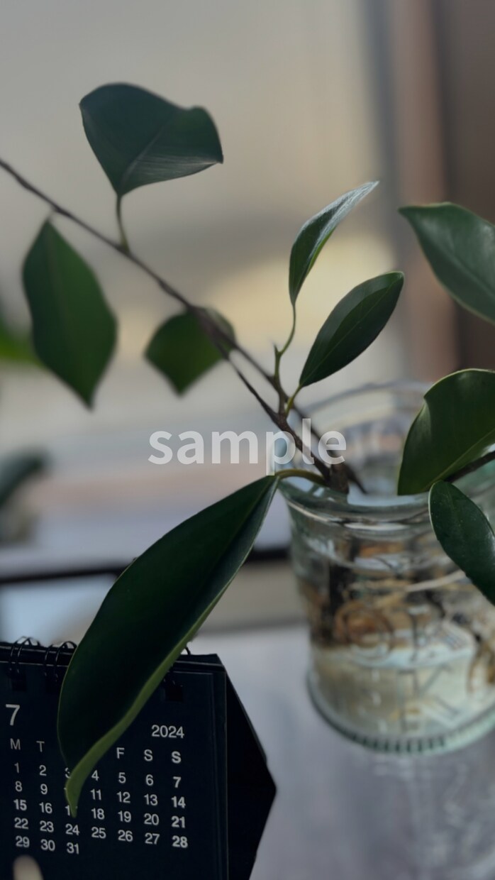 暮らしに映えるCanvaテンプレートを作成します SNS投稿をナチュラルでおしゃれに整えたい方へ イメージ3