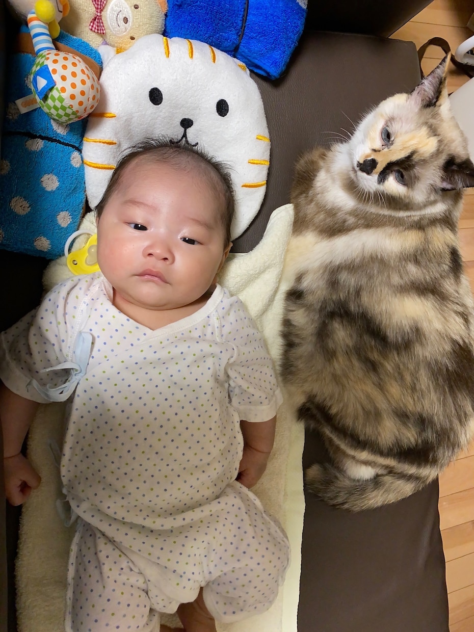 愚痴や悩みをお聞きします 誰かと雑談したいとかも歓迎です♪ イメージ2