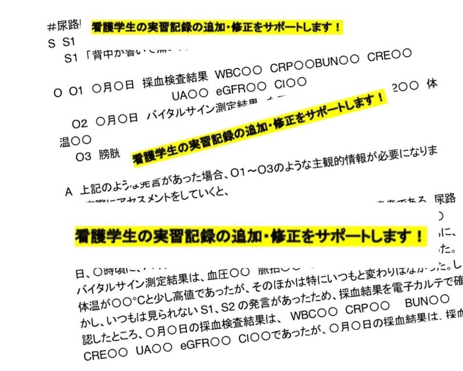 看護学生のレポート・論文をサポートします ＊現役看護師による監修が大好評！ イメージ1