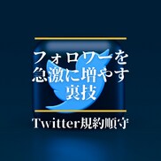 アカウント映え！ツイッターフォロワー増加術教えます アカウントの見栄えを整え発信に説得力を！裏技公開 イメージ1