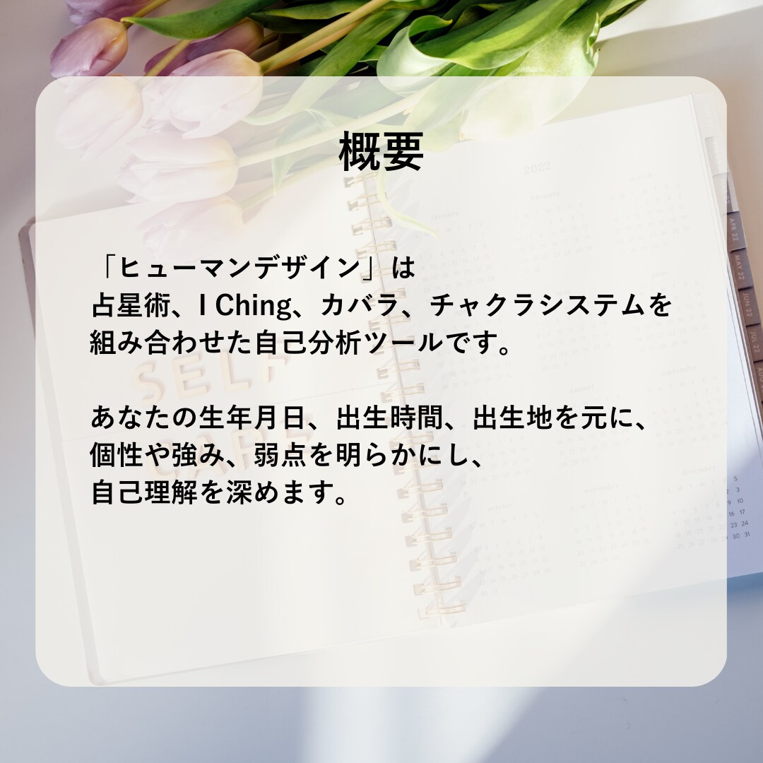 ヒューマンデザインを取り入れて自己理解を行います \ あなたの本質を知り、自己成長を促す / イメージ2