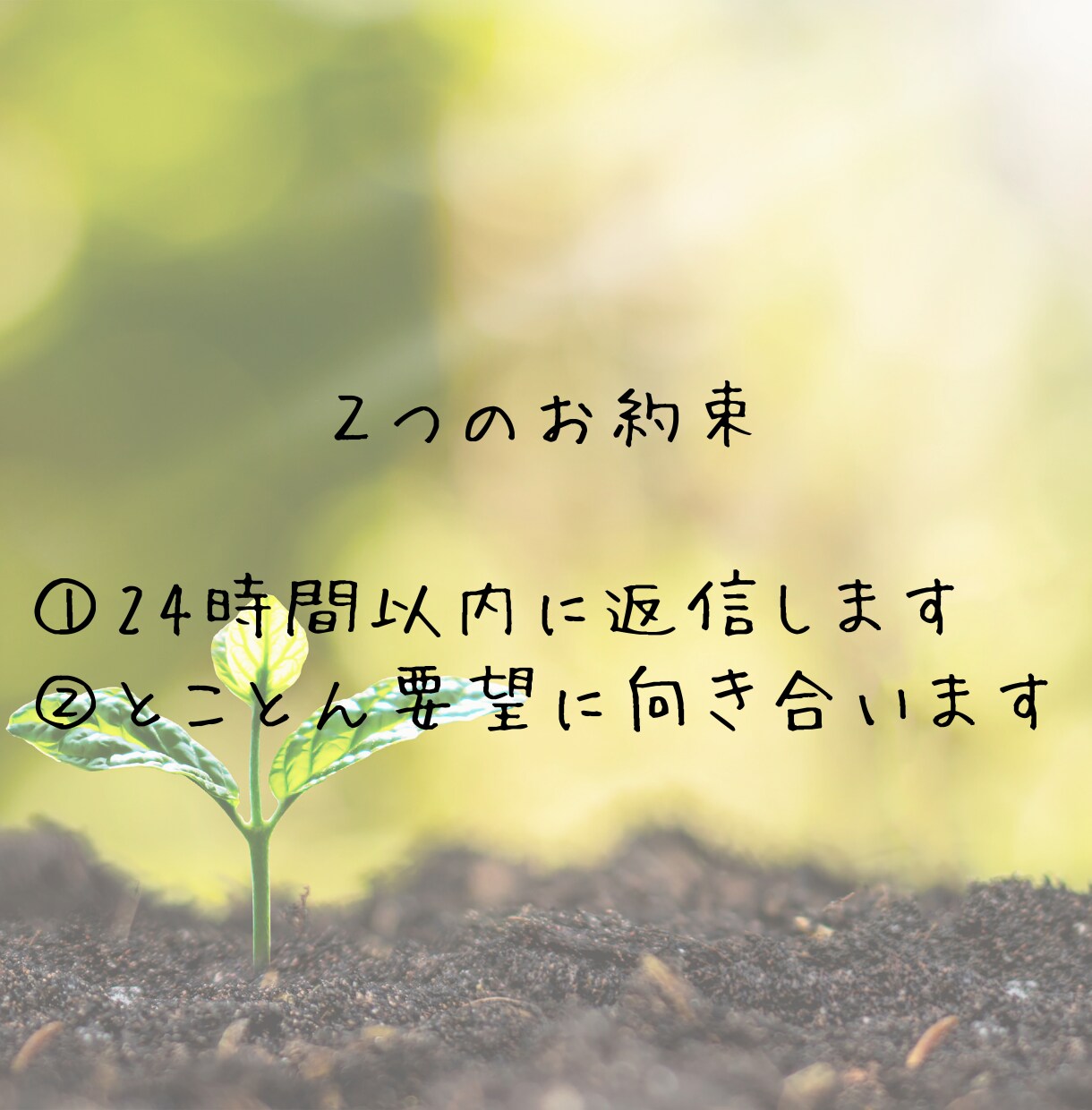 お子様と一緒に作る！簡単レシピ提供します 管理栄養士が作る、あなたのご家庭に合わせた簡単食育レシピ イメージ4