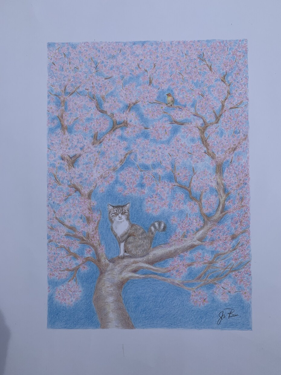 愛するペットのイラストを描きます いただいたペットの写真を基に色鉛筆にてイラストを描きます。 イメージ7