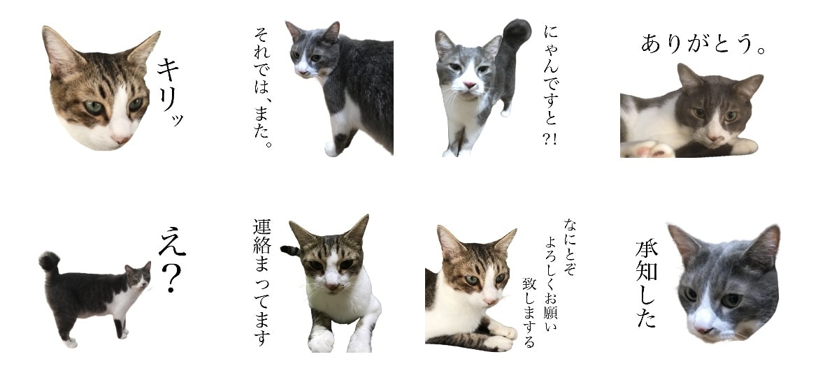 赤ちゃんやペットのお写真でLINEスタンプ作ります 携帯の中の素敵な写真たち…スタンプにしませんか？ イメージ2