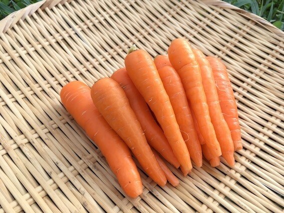 自然栽培・有機栽培による野菜の作り方を教えます 無農薬・無肥料又は有機肥料・固定種による野菜栽培を伝授 イメージ10