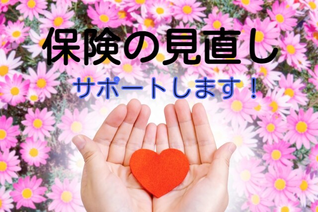 保険の見直しを攻略⭐将来へ備えFPがサポートします 保険の相談をするだけでこんなにも気持ちが軽く✨これで安心❗ イメージ1
