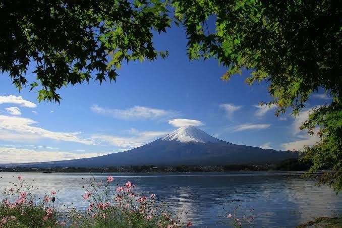 ストレス解消   愚痴、悪口何でも大丈夫です！ます 日頃溜まっている愚痴、悪口を親身になって聞きます‼️ イメージ1