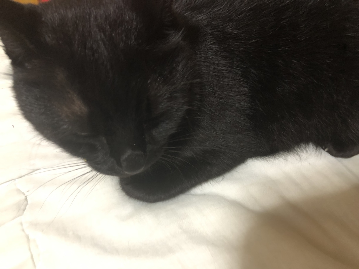 悩みや愚痴、相談などききます 満足するまで話を聞きます。解決は出来たらします。 イメージ1