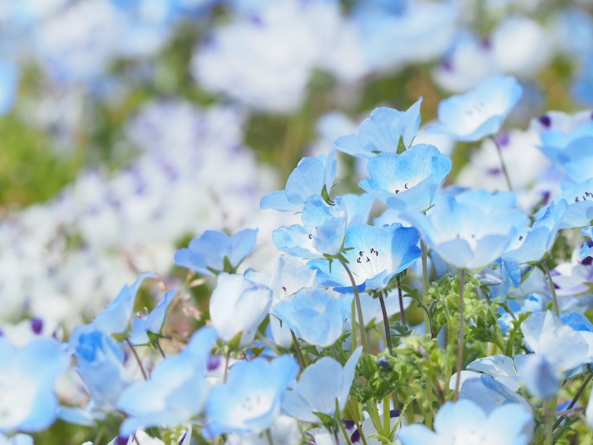 現役看護師が気持ちを受け止めます まとまらなくても、そのままで大丈夫ですよ。 イメージ3