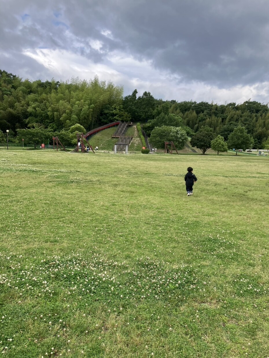 魂に響く神社・ご祭神・属性・開運法をお届けします あなたの繭気属性と神様からのご縁メッセージ イメージ5