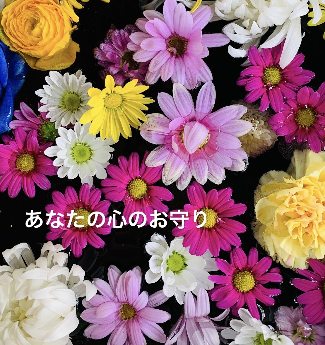 あなたと♡はとや♡心の中キラキラ☆お守りになります モヤモヤ→スッキリへ♡あなたの心のお守り♡心Open イメージ7