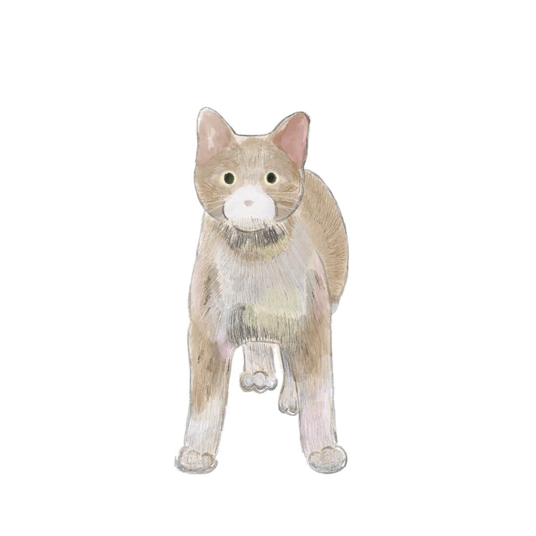 あなたのペットちゃんの絵を描きます 水彩と色鉛筆仕上げ背景入れ無料 イメージ5