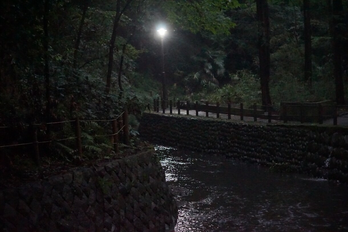 写真を撮ります 一眼カメラにてお写真をお撮りします。 イメージ3