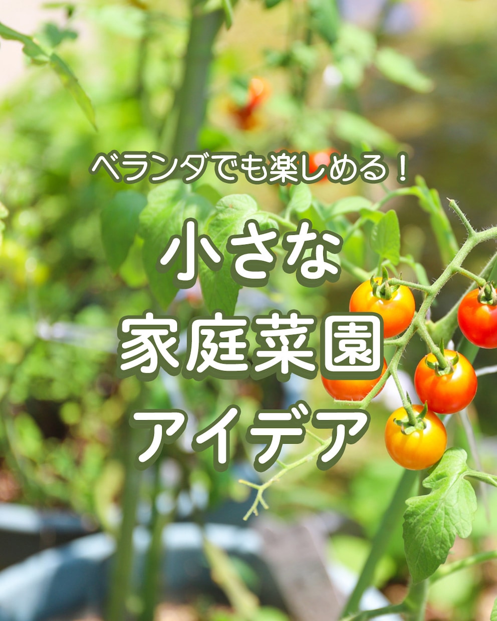 見切れない!見え方を意識したデザイン制作いたします ターゲットの目を引き、伝わるインスタ投稿画像はおまかせ下さい イメージ2